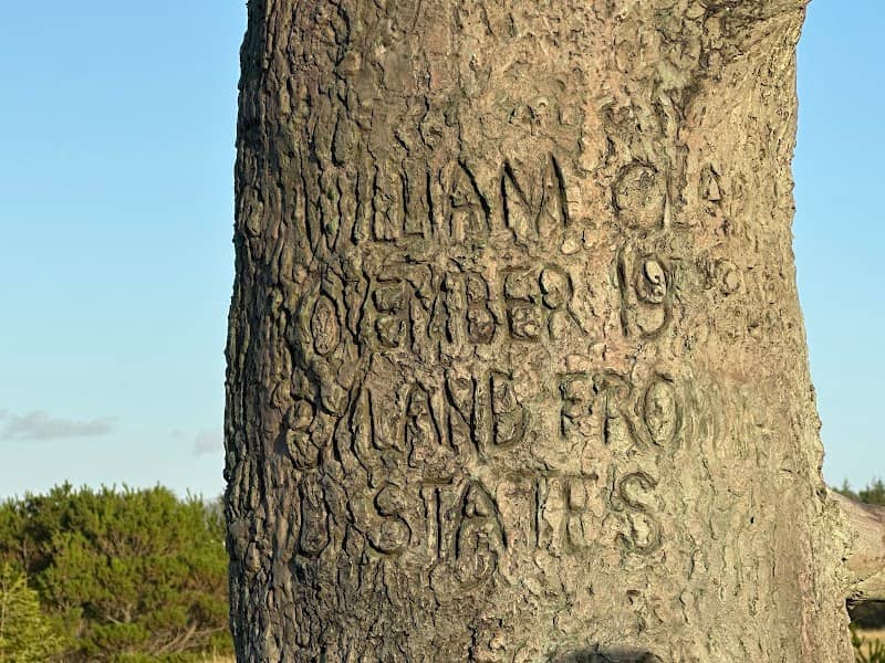 Lewis and Clark Carved Tree - Image 1