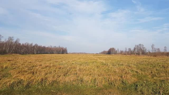Poldrijärve matkarada - Image 1