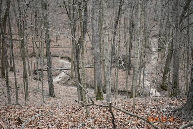 Warbler Ridge Conservation Area: North Trailhead - Image 1
