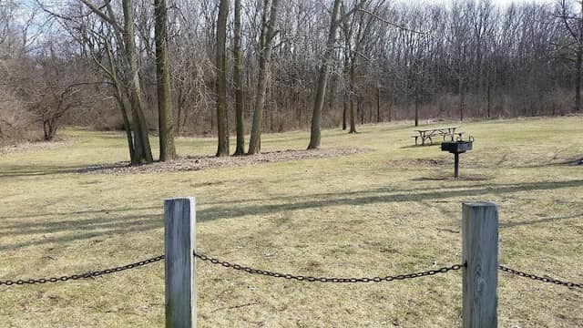 Padgett Dog Park - Image 1