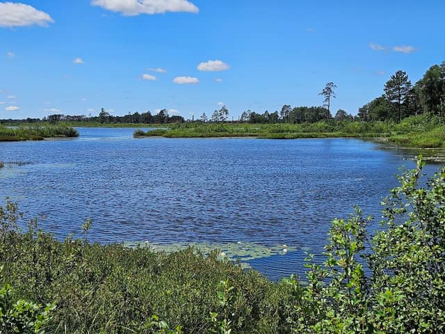 Seney National Wildlife Refuge - Image 1