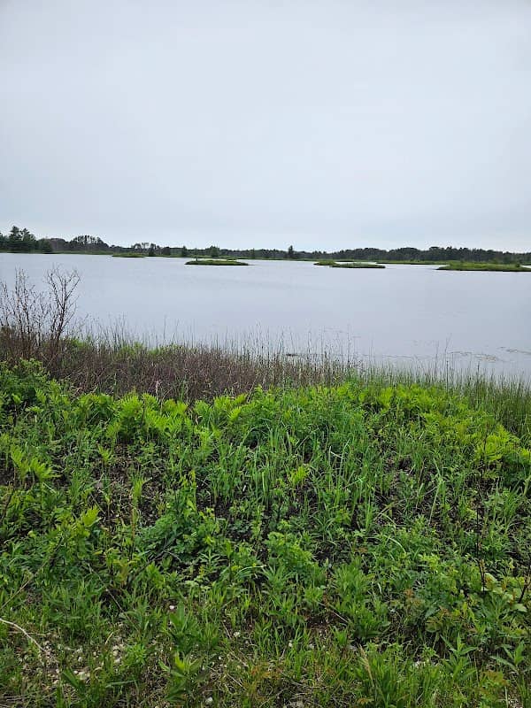 Seney National Wildlife Refuge - Image 2