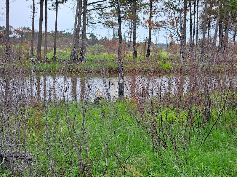 Seney National Wildlife Refuge - Image 1