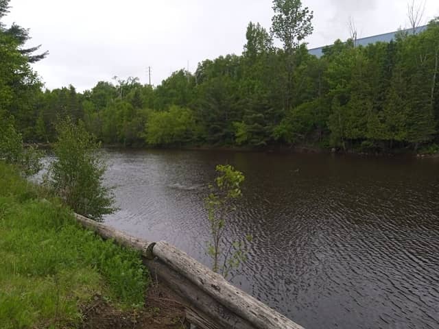 Morrison Cove - Image 2