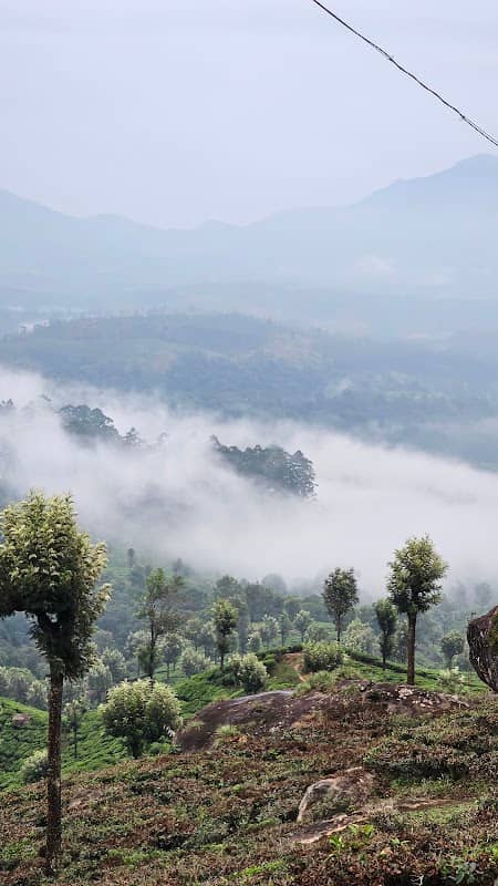 Munnar Town - Image 1