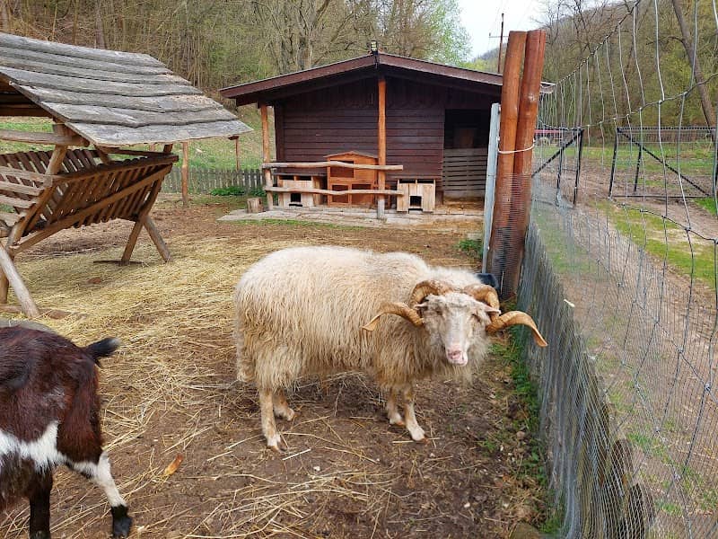 Állatsimogató - Image 1