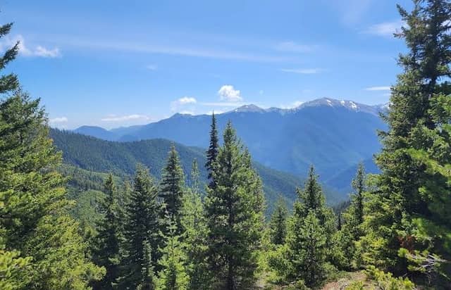 Olympic National Park - Image 1