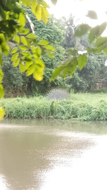 Vellattanjoor Nature Tourism - Image 1