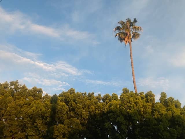 Metro Park - Image 2