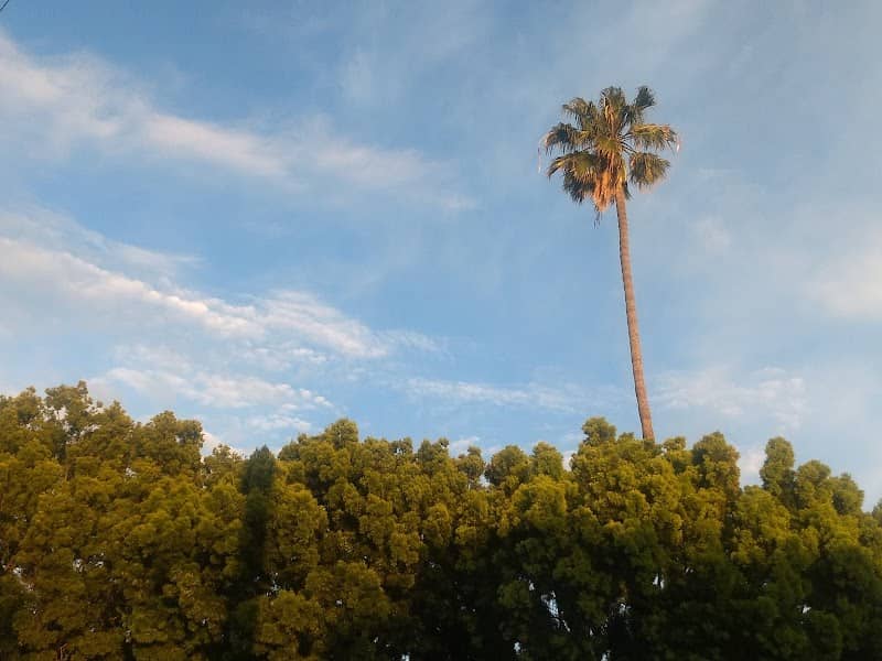 Metro Park - Image 2