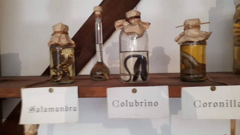 Museo delle Arti e Tradizioni Popolari - Image 1