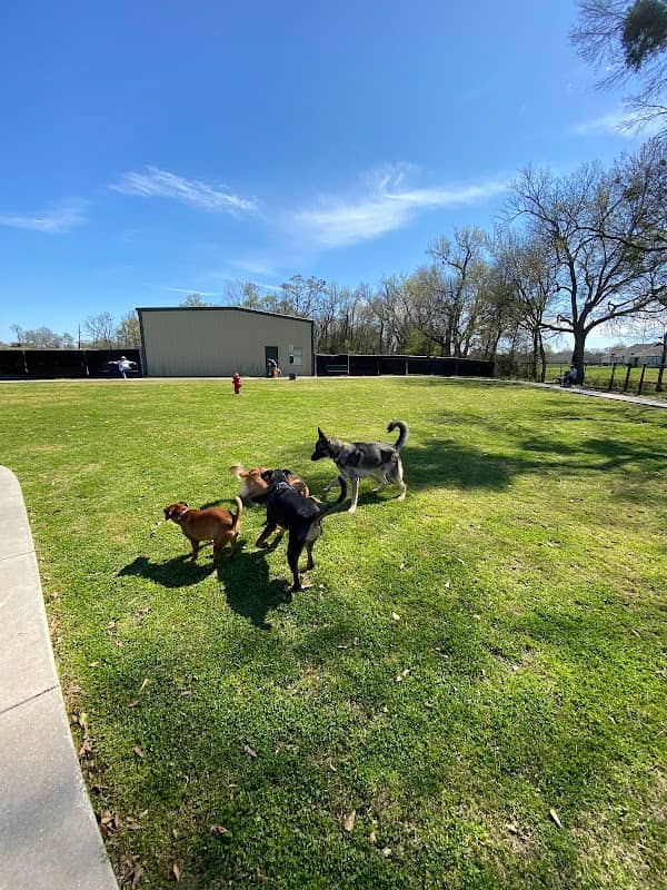 City Of Gonzales Dog Park - Image 2