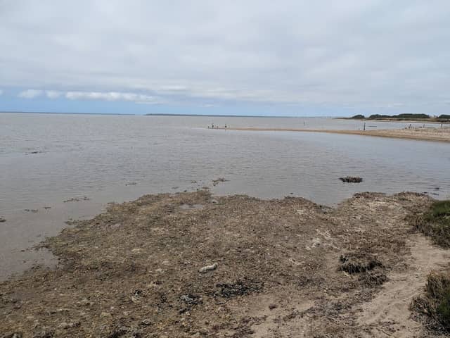 Swan Reach Bay carpark - Image 1