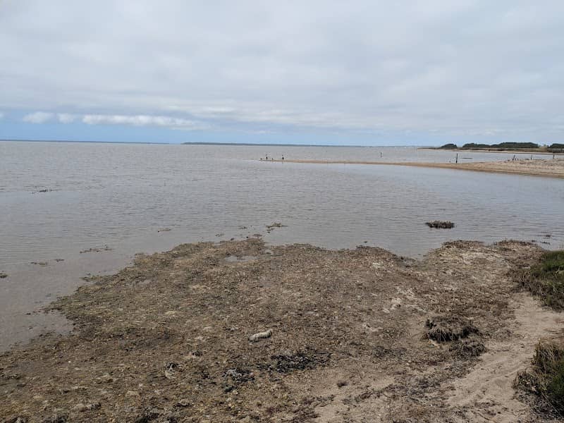 Swan Reach Bay carpark - Image 1