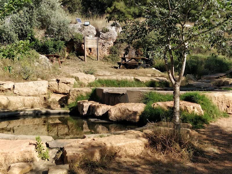 Ein Al ARiQ spring ,As Sawia spring - Image 1