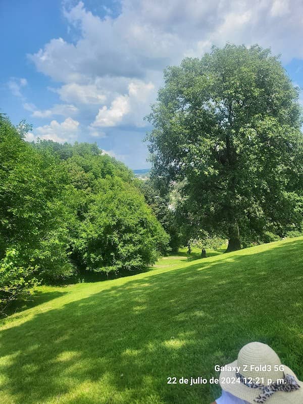 Fondulac Park West - Image 1