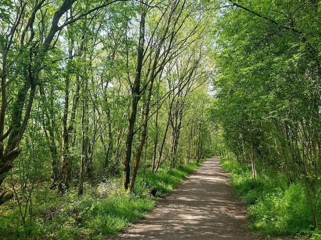 Whitehead Hall Meadow - Image 2
