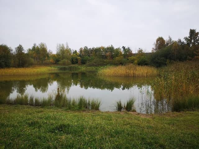 Whitehead Hall Meadow - Image 1