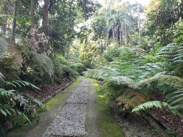 Taman Botani Bangi UKM - Image 2