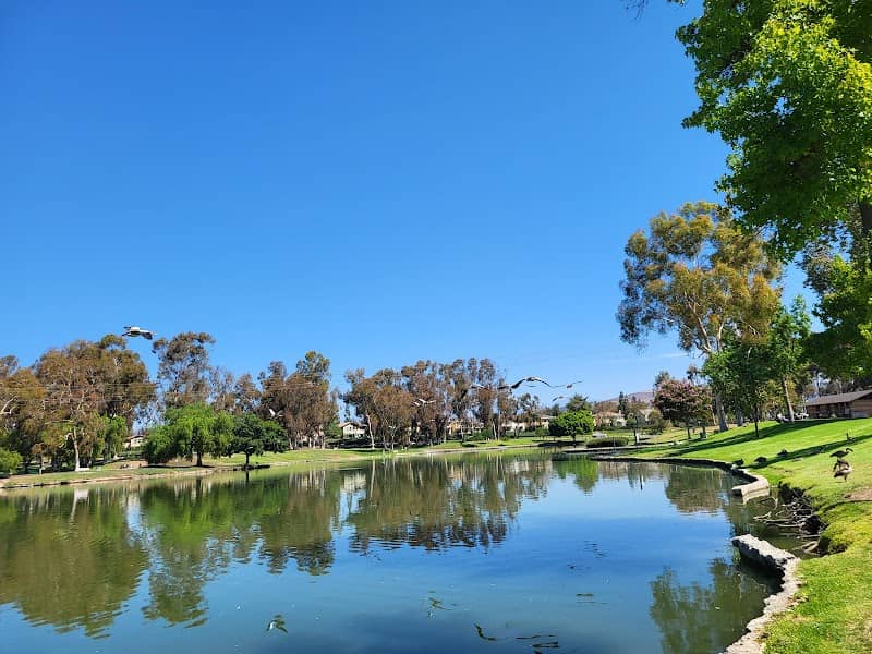 Goose Island - Image 1