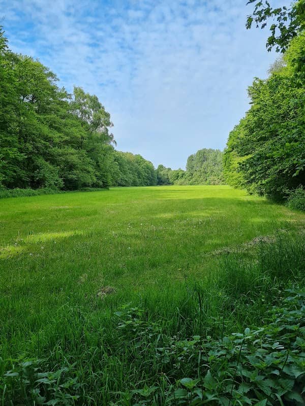 Hundewiese Eisbahn - Image 1