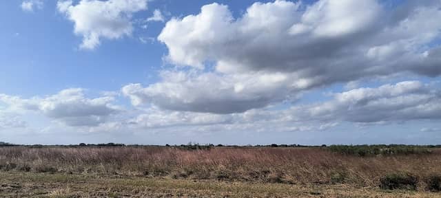 Nash Prairie Preserve - Image 1