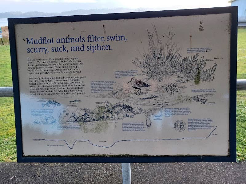 Nahcotta Tidelands Interpretive Site - Image 2