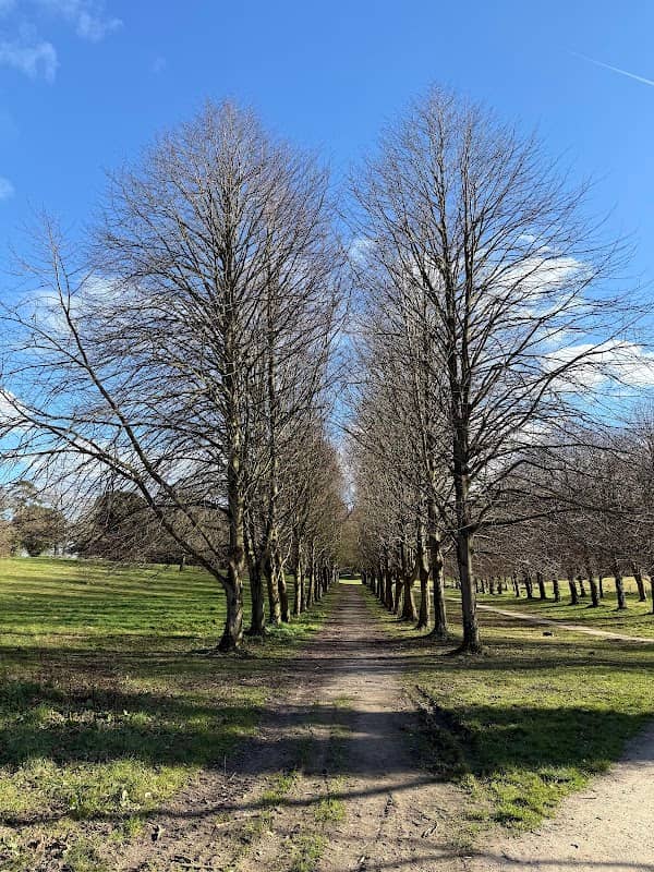The Woods Way - Image 2