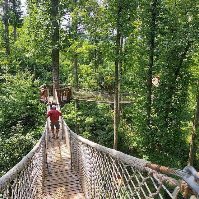 Anakeesta - Image 1