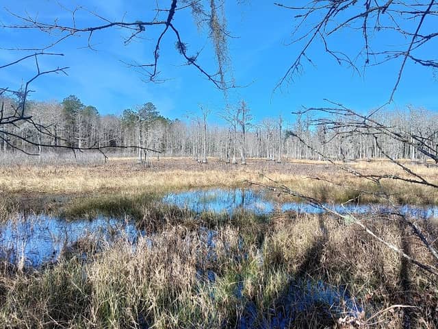 L. Kirk Edwards Wildlife and Environmental Area - Image 1