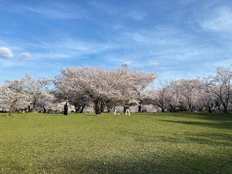 Oizumi Ryokuchi Park - Image 1