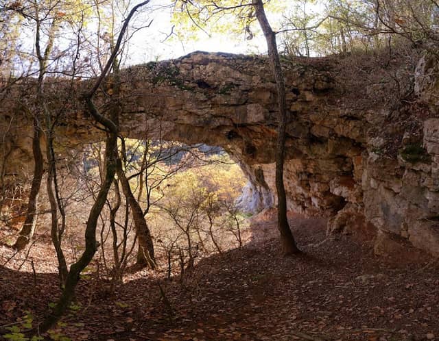 Grotte des falaises de Saint-Loup, n°1 - Image 1