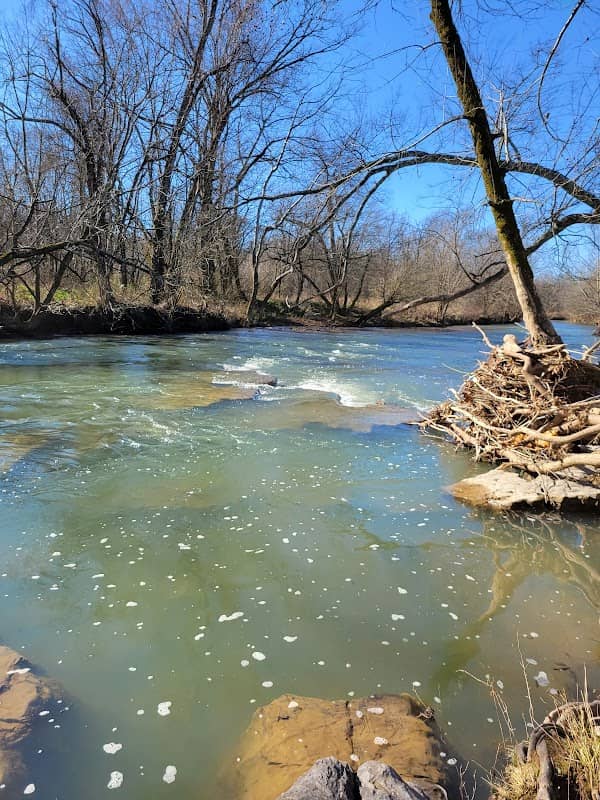 South Chickamauga Creek - Image 2