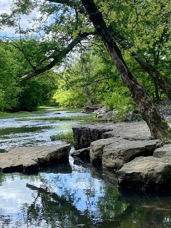 South Chickamauga Creek - Image 1