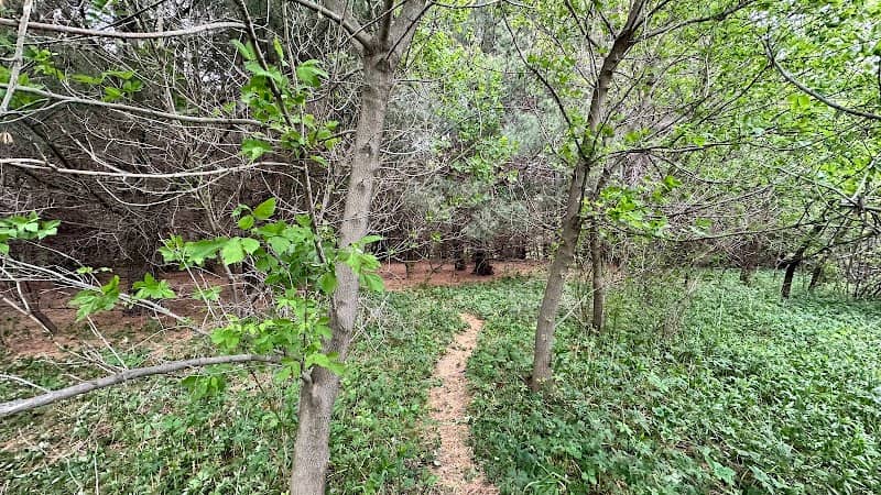 Kleckner Wildlife Area - Image 2