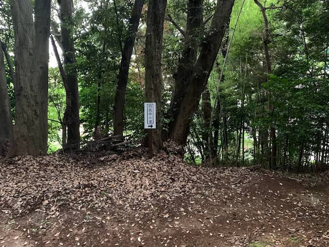 白狐の小径 - Image 1