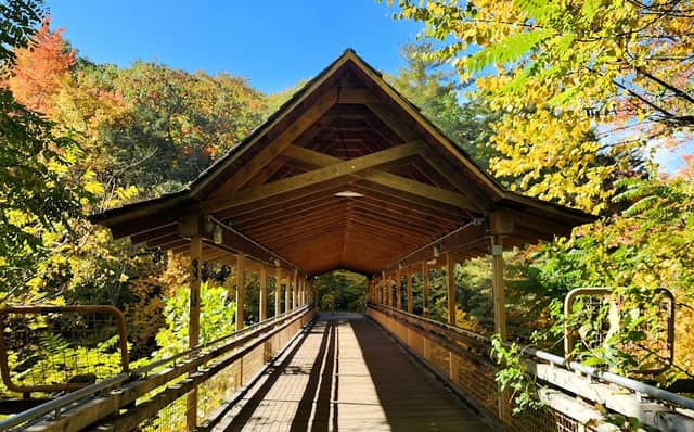 Paul Kanjorski Covered Bridge - Image 1