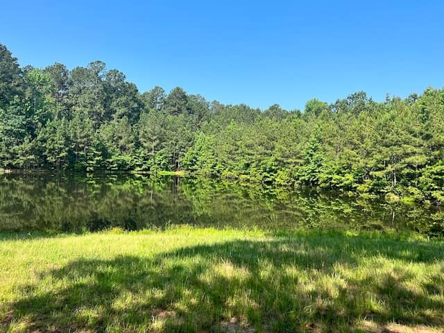 Atlanta MTB Trail (City Park) - Image 1