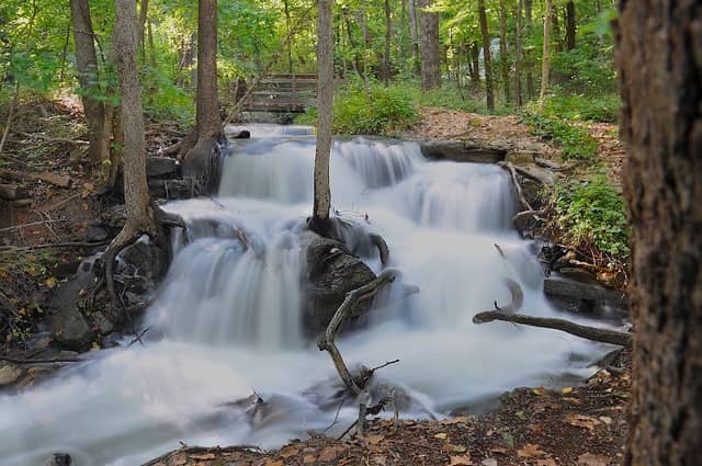Parkville Nature Sanctuary - Image 1