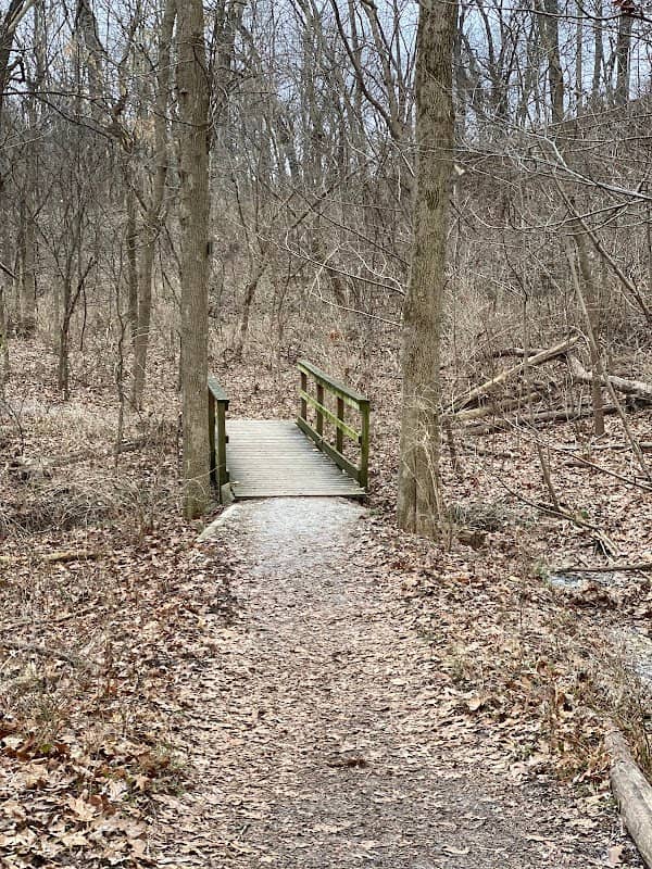 Parkville Nature Sanctuary - Image 3