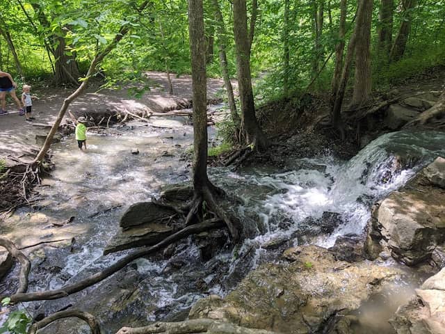 Parkville Nature Sanctuary - Image 2