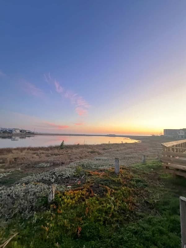 Estero de Catapilco - Image 3