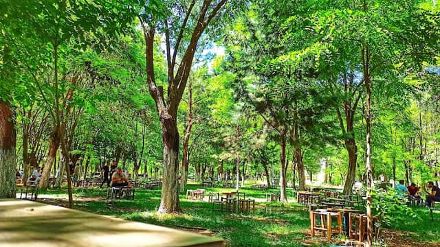 Dinlenme Parkı - Image 1