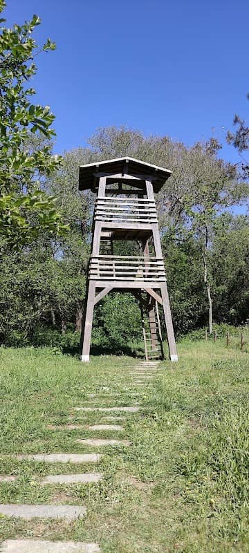 Torre de Observação de Aves - Image 2