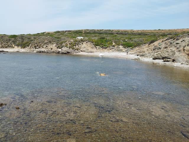 Sarı Akvaryum - Image 1