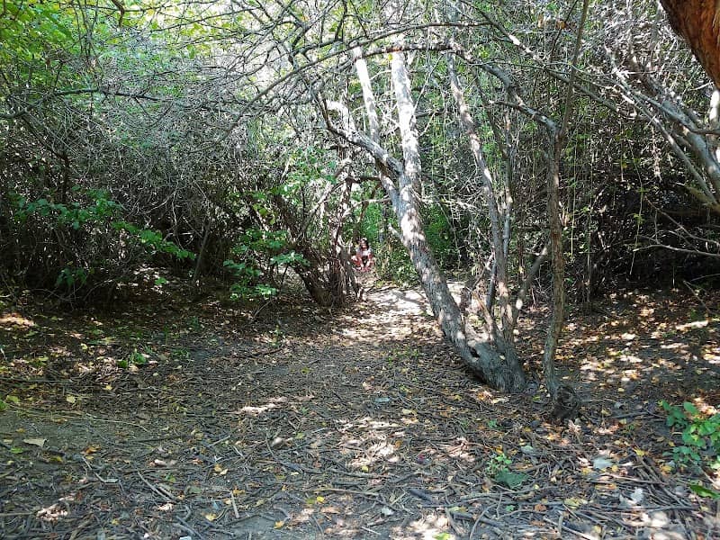 Nancy English Park - Image 1
