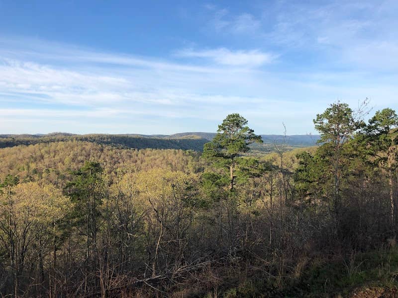 Hickory Nut Mountain Vista - Image 2