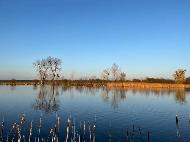 Stausee Neuholland - Image 1