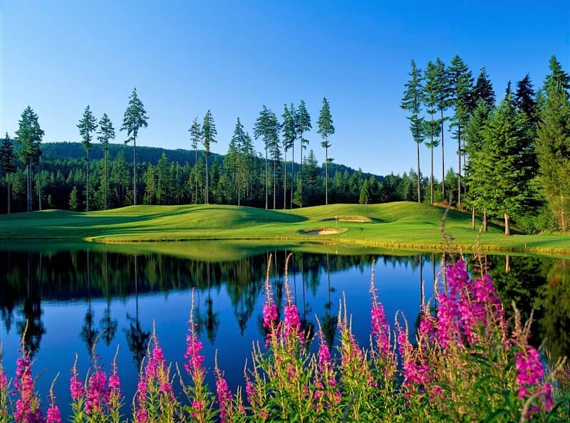 Gold Mountain Golf Club - Image 1