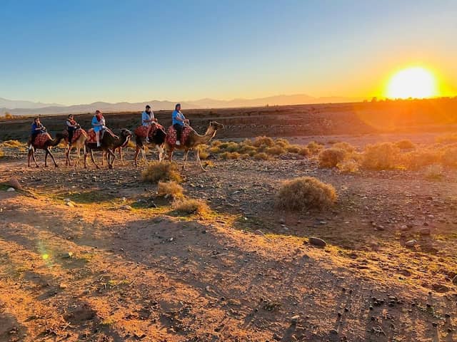 Berber Experience Camp - Image 1